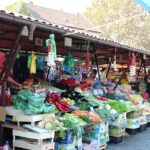 Novi Sad and Sremski Karlovci private tour with wine tasting - Discovering Petrovaradin Fortress and Its Stunning Views