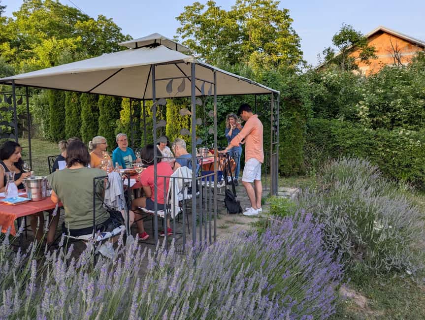 Novi Sad: Fruka Gora Wine Tasting with Local Bites - The Unique Focus on Fruka Gora Wines