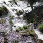 NP Krka & Trogir from Split - Private Excursions - Exploring Krka National Park at Your Leisure