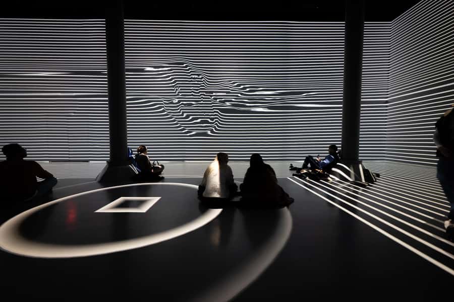 NYC: ARTECHOUSE Immersive Art Experience Entrance Ticket - How the Ticket Enhances Your Visit