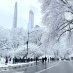 NYC: Central Park Guided Bike Tour with Movie Locations - Starting Point and Easy Bike Rental Process