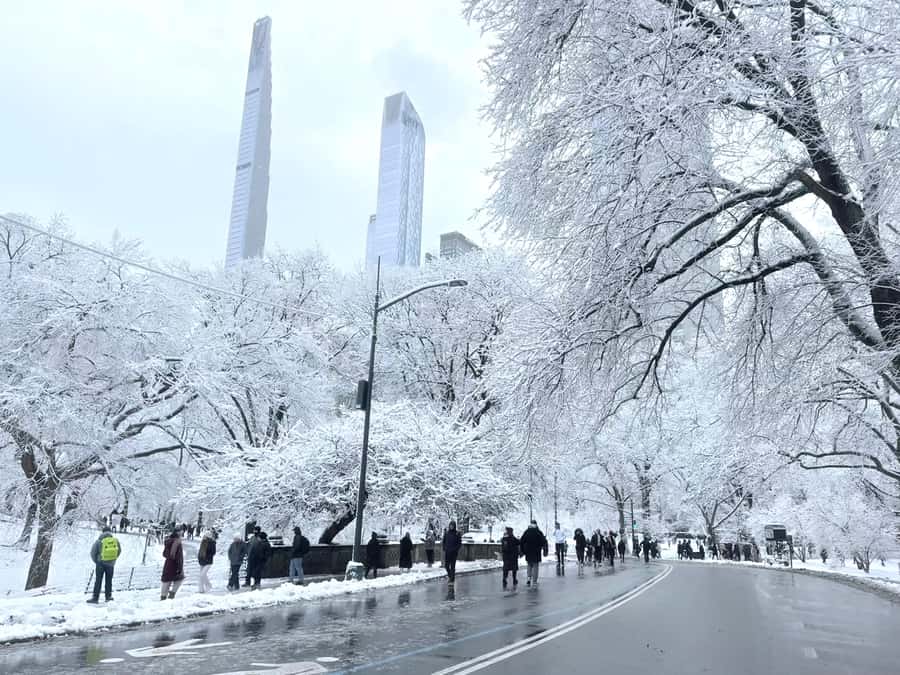 NYC: Central Park Guided Bike Tour with Movie Locations - Starting Point and Easy Bike Rental Process