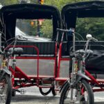 NYC Central Park Pedicab Tours - Explore the Top Central Park Landmarks with a Guided Pedicab