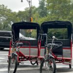 NYC Central Park Pedicab Tours - Central Park Pedicab Tour: A Unique Way to See the City