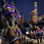 NYC Central Park & Rockefeller Center Private Horse Carriage Tour - A Personalized Ride Through Central Park’s Top Spots