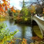 NYC: Central Park Secrets and Highlights Walking Tour - Exploring Central Park’s Scenic Spots and Landmarks