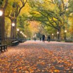 NYC: Central Park Zoo & Central Park Guided Walking Tour - Highlights of the Central Park Walk