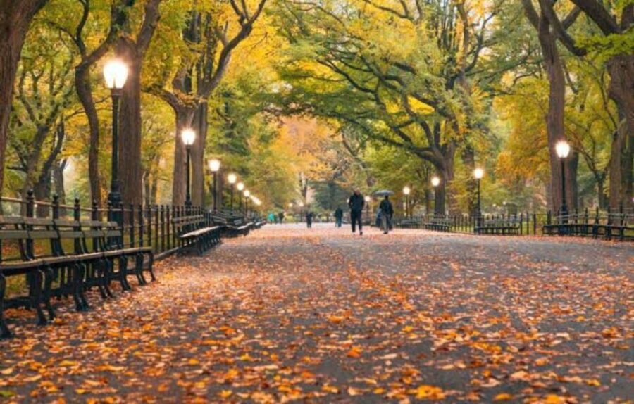 NYC: Central Park Zoo & Central Park Guided Walking Tour - Highlights of the Central Park Walk