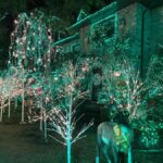 NYC: Dyker Heights Christmas Lights Tour with Guide - Exploring Manhattan’s Bay Area and Iconic Landmarks