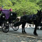 NYC Empire State Horses Carriage Ride in Central Park (45 Mins) - What to Expect During Your 45-Minute Ride