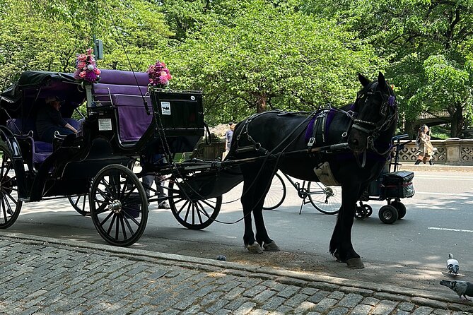 NYC Empire State Horses Carriage Ride in Central Park (45 Mins) - What to Expect During Your 45-Minute Ride