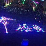 NYC | French guided tour of Christmas in Brooklyn - Exploring Brooklyn Heights and Manhattan Skyline Views