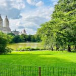 NYC: Guided Central Park Pedicab Private Tour - Experience of the Pedicab Ride Through Central Park