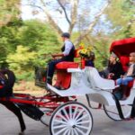 NYC: Guided Standard Central Park Carriage Ride (4 Adults) - Starting Point at 59th Street and 6th Avenue