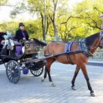 NYC: Long Central Park Horse Carriage Ride with Photo Stop - The Route: From Central Park South to the Lake North of Terrace Drive