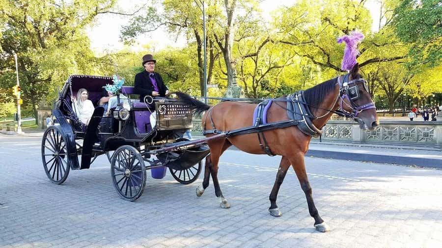 NYC: Long Central Park Horse Carriage Ride with Photo Stop - The Route: From Central Park South to the Lake North of Terrace Drive