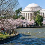 NYC: Niagara Falls, Toronto, Philadelphia & DC 5-Day Tour - Exploring Niagara Falls from the US Side and Horseshoe Falls