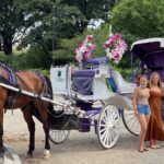 NYC: Private Central Park Horse & Carriage Ride - A Classic Ride through Central Parks Most Beloved Spots