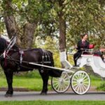 NYC: Private Central Park Horse Carriage Ride with Guide - Exploring Central Park’s Most Famous Landmarks