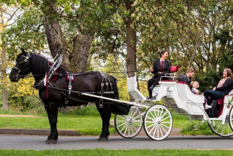 NYC: Private Central Park Horse Carriage Ride with Guide - Exploring Central Park’s Most Famous Landmarks