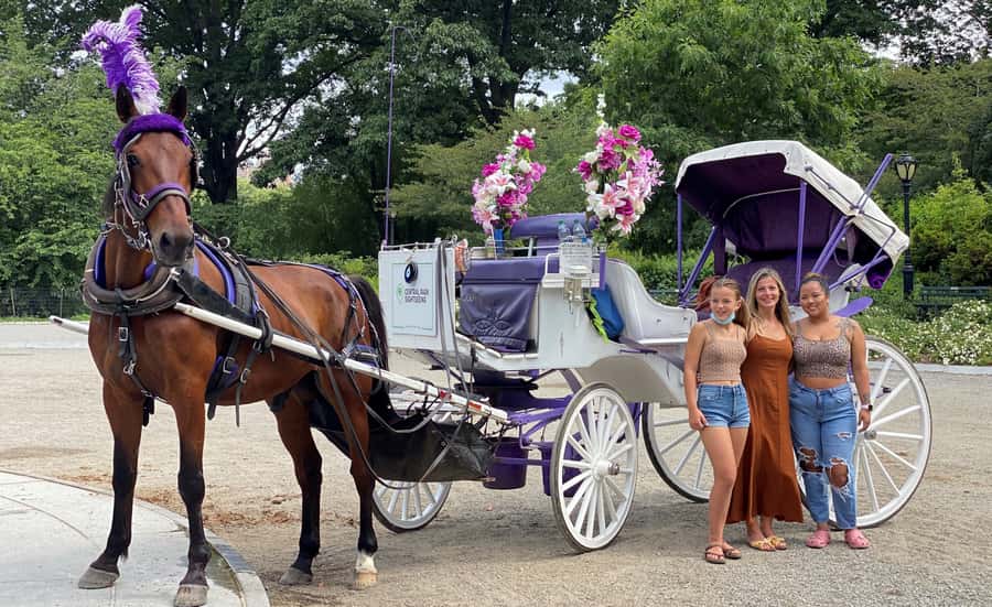NYC: Private Central Park Horse & Carriage Ride - A Classic Ride through Central Parks Most Beloved Spots