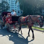 NYC: Private Central Park Horse-Drawn Carriage Tour - Exploring Central Park’s Iconic Landmarks on Horseback