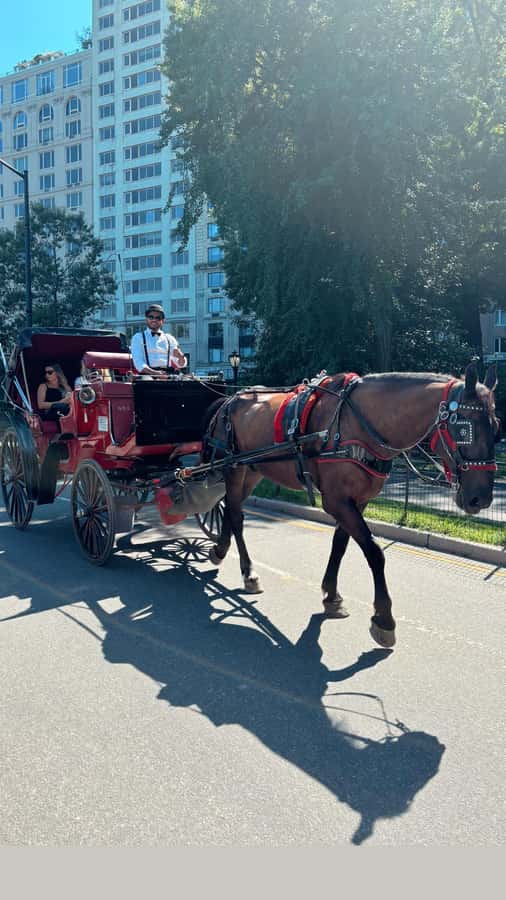 NYC: Private Central Park Horse-Drawn Carriage Tour - Exploring Central Park’s Iconic Landmarks on Horseback