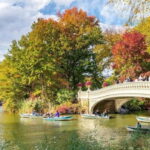 NYC: Private Central Park Tour - Starting Point near Central Park South