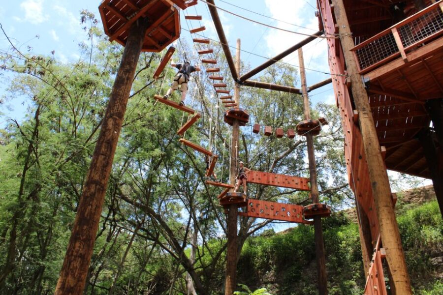 Oahu: Aerial Adventure, Climbing, & Freefall Experience - Coral Crater Adventure Park: The Starting Point