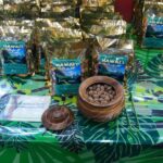 Oahu: Beauty and the Feast Circle Island Experience - Key Points