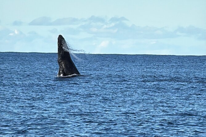 Oahu Boat Tour Ko Olina Experience - Starting Point at Ko Olina’s Scenic Beaches