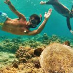Oahu Circle Island: Snorkel with Turtles & Explore Turtle Beach - The Convenience of Hotel Pickup and Small Group Travel