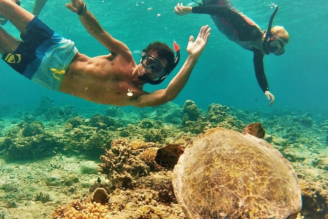 Oahu Circle Island: Snorkel with Turtles & Explore Turtle Beach - The Convenience of Hotel Pickup and Small Group Travel