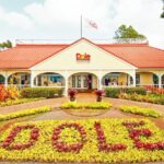 Oahu Circle Island Tour with Snorkeling + Free Perks & Free Wi-Fi - Visiting Diamond Head Lookout and Halona Blowhole