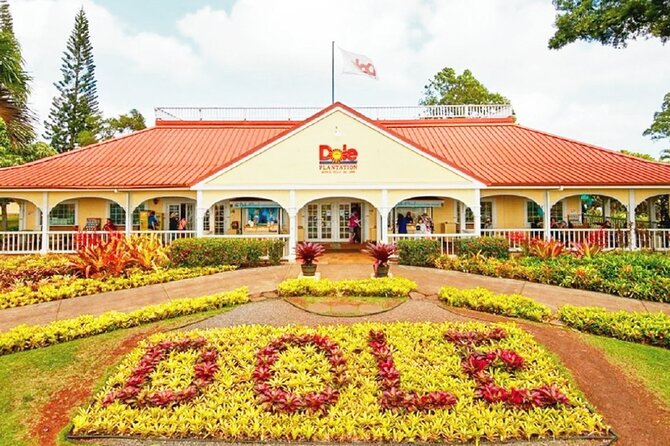 Oahu Circle Island Tour with Snorkeling + Free Perks & Free Wi-Fi - Visiting Diamond Head Lookout and Halona Blowhole