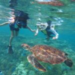 Oahu Coastline Cruise: Turtle Snorkeling and Jumping Platform - The Starting Point at E Sea Diver Pier in Honolulu