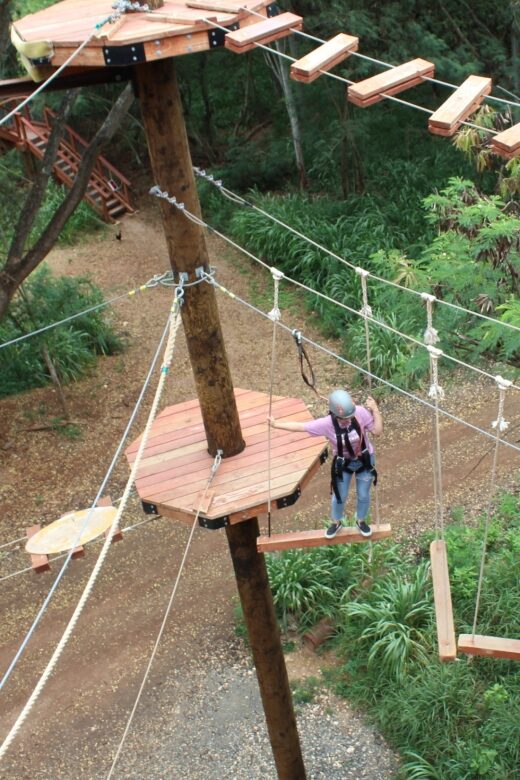 Oahu: Coral Crater Aerial Challenge Course - Coral Crater Adventure Park: The Starting Point for Your Challenge