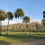 Oahu: Diamond Head Hike with Roundtrip Transportation - Self-Guided Ascent with Flexibility and Independence