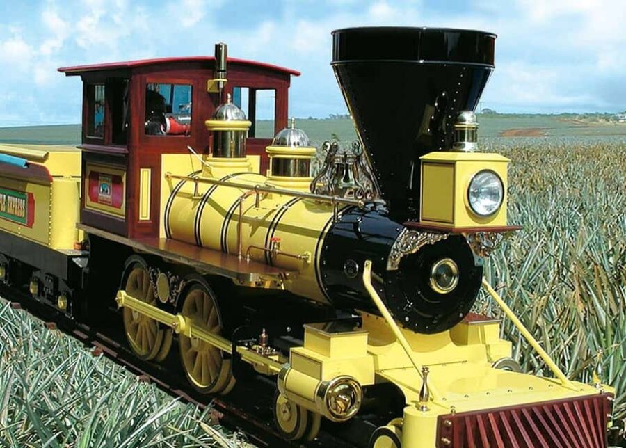 Oahu: Dole Plantation & Haleiwa Express Deluxe Tour - Starting Point and Transportation: Easy and Convenient Pick-ups