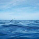 Oahu Dolphin Watch, Turtle Snorkel, Waterslide Activities - Starting Point and Transportation Options