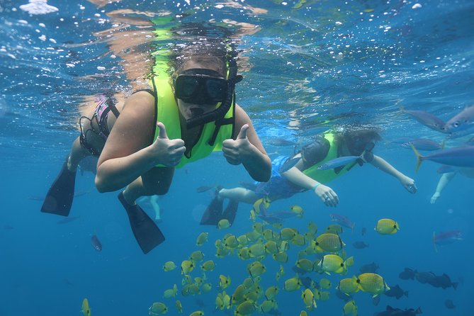 Oahu Dolphin Watch with Turtle Snorkel & Water Slide - Departure and Pickup from Waikiki Hotels