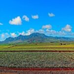 Oahu Grand Circle Island Experience Departing from Kauai - Exploring Honolulu’s cultural landmarks and local flavors