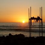 Oahu Grand Circle Island Experience from Waikiki - Visiting Koko Marina Center for a Taste of Local Pastries