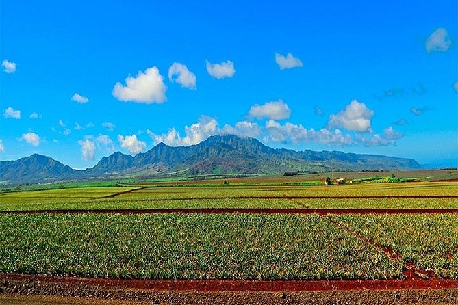 Oahu Grand Circle Island Tour Departing from Waikiki - Scenic Overlooks at Diamond Head and Koko Marina