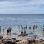 Oahu Guided Circle Island Tour, Swim w/ Turtles, Dole, Blowhole - Visiting Eternity Beach and Makapuu Point