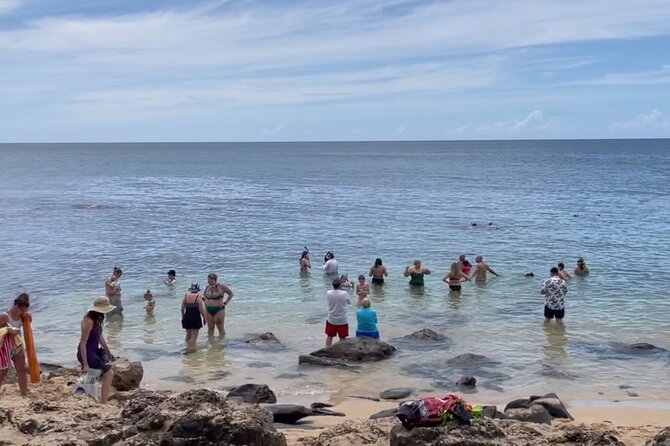 Oahu Guided Circle Island Tour, Swim w/ Turtles, Dole, Blowhole - Visiting Eternity Beach and Makapuu Point