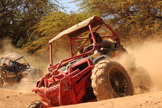 Oahu Guided Off-Road ATV Adventure from Waikiki -Round Trip Trans - Navigating the Coral Crater Trails