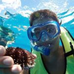 Oahu: Hilton Hawaiian Village Snorkel Tour - Snorkeling at a Private Island Reef