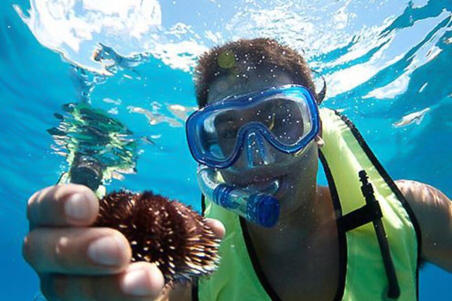 Oahu: Hilton Hawaiian Village Snorkel Tour - Snorkeling at a Private Island Reef