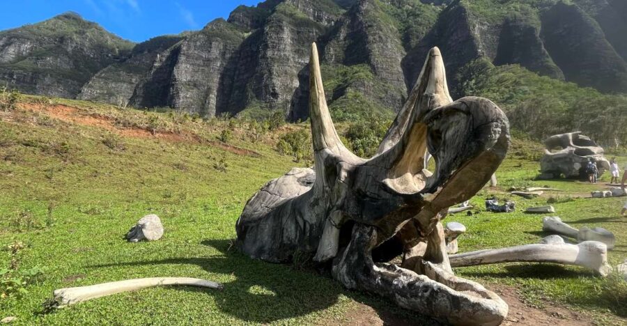 Oahu: Kualoa Movie Sites, Jungle, and Buffet Tour Package - Jungle Trek Through the Hakipuu Rainforest
